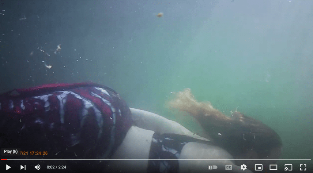 Rare Footage of the Shuswap&nbsp;Mermaid